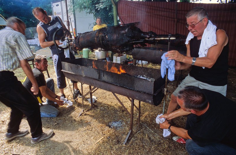 Les maitres du cochon