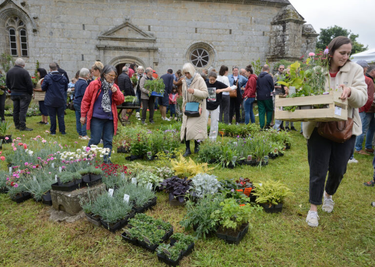 11 mai – Journée des plantes – Compte rendu